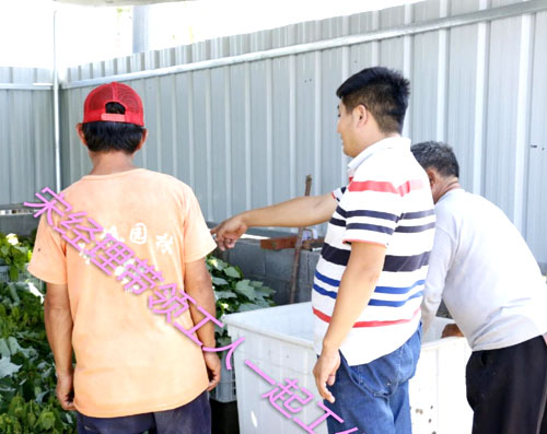 夏日來臨，當你吹空調(diào)喊熱的時候，讓我?guī)阋黄鹱哌M東楓園林體驗一下東楓人高溫下工作不一樣的夏日風采