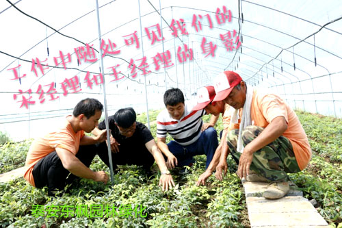 夏日來臨，當你吹空調(diào)喊熱的時候，讓我?guī)阋黄鹱哌M東楓園林體驗一下東楓人高溫下工作不一樣的夏日風采
